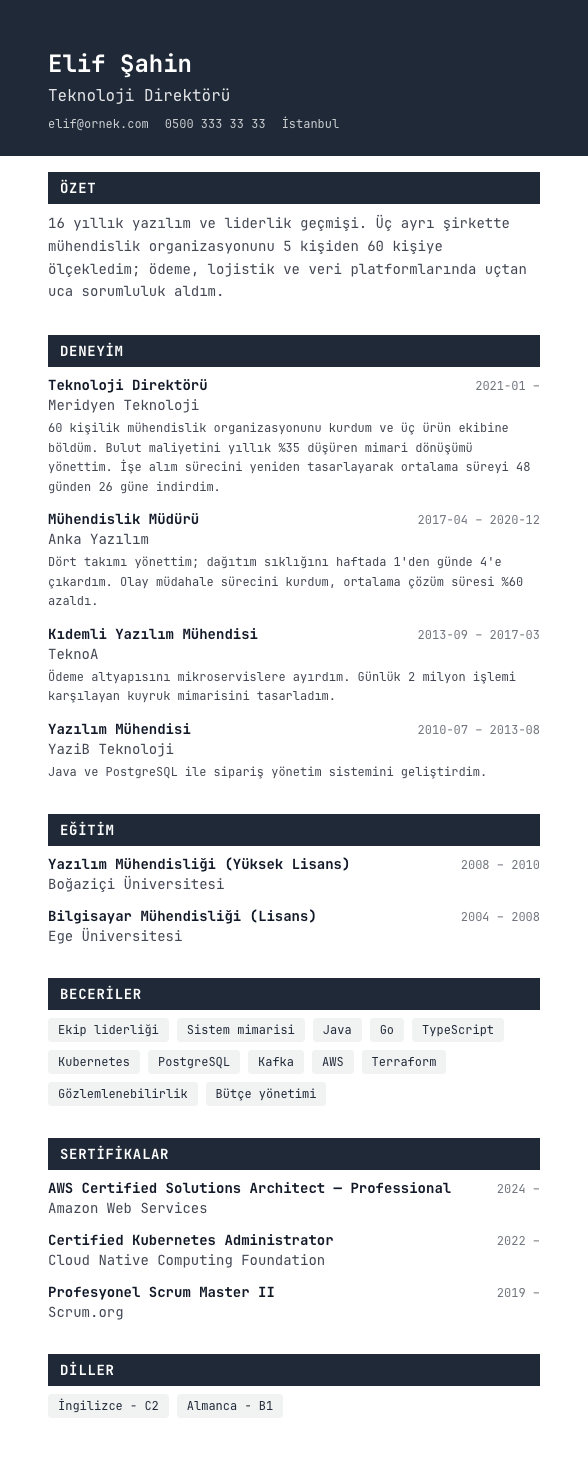 Terminal CV şablonu - uzun kariyer geçmişi örneğiyle
