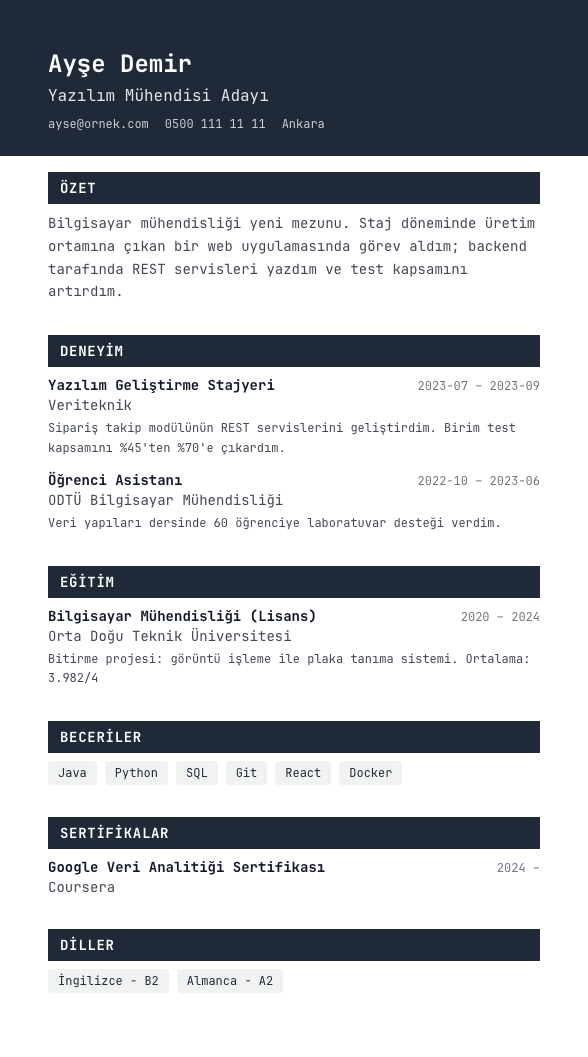 Terminal CV şablonu - yeni mezun CV'si örneğiyle