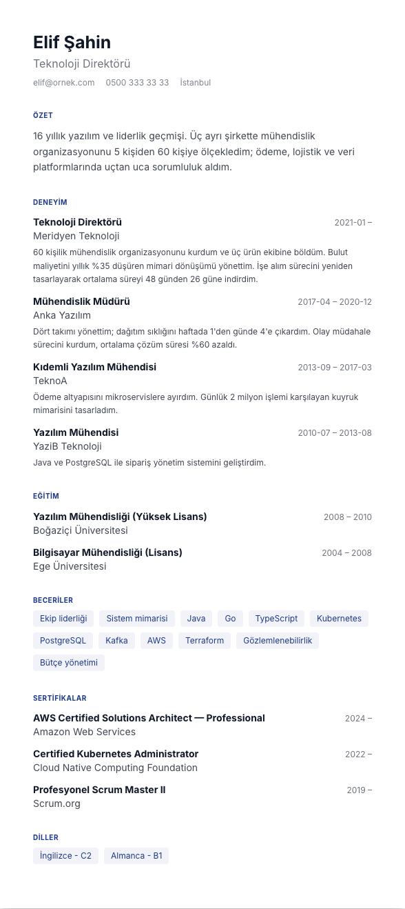 Zaman Noktası CV şablonu - uzun kariyer geçmişi örneğiyle