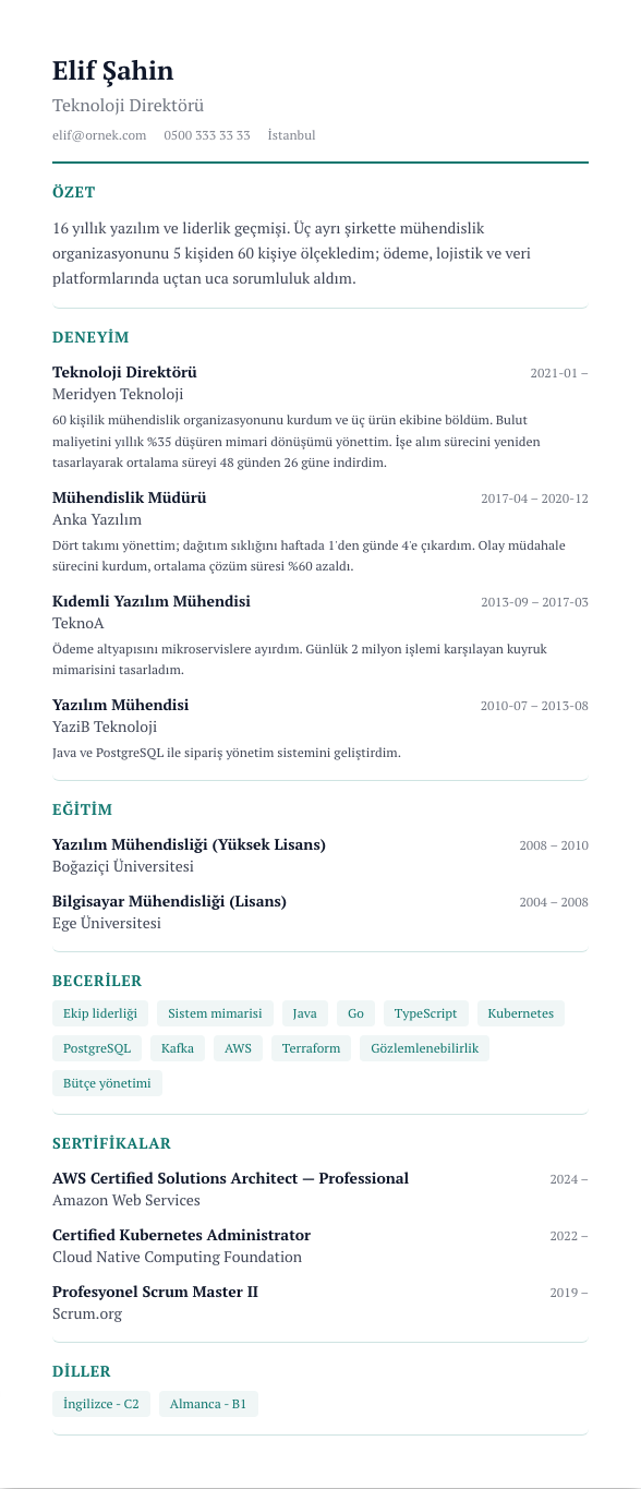 Zaman Çizelgesi CV şablonu - uzun kariyer geçmişi örneğiyle
