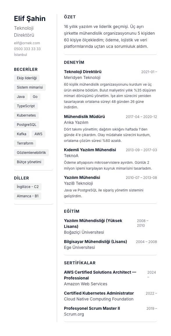 İki Kolon Sade CV şablonu - uzun kariyer geçmişi örneğiyle