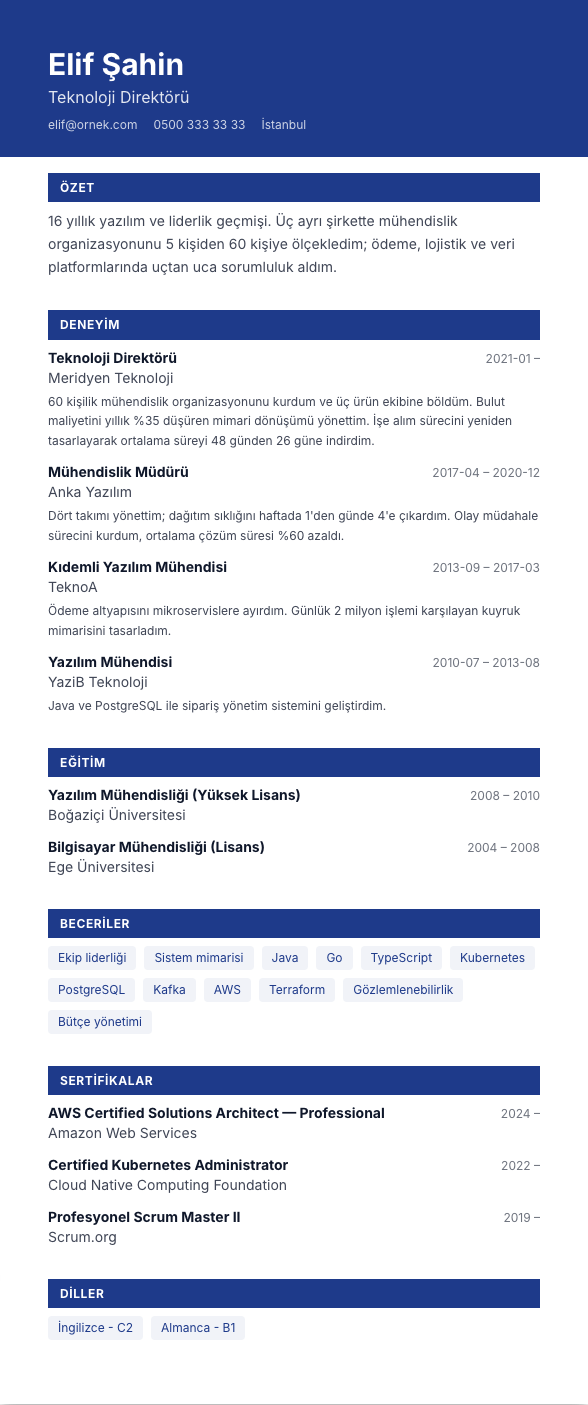 Ürün Lansmanı CV şablonu - uzun kariyer geçmişi örneğiyle