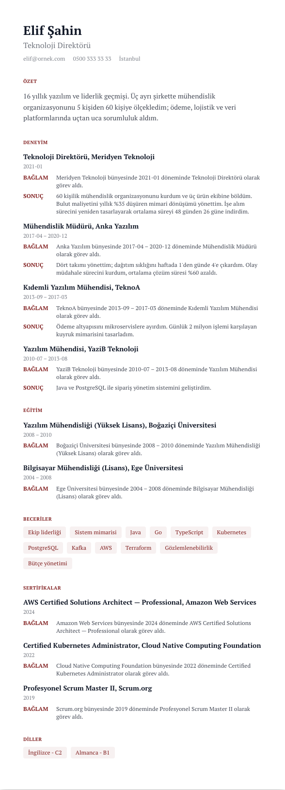 Vaka Dosyası CV şablonu - uzun kariyer geçmişi örneğiyle