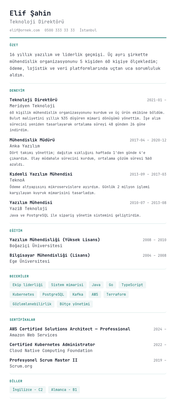 Veri Konsolu CV şablonu - uzun kariyer geçmişi örneğiyle