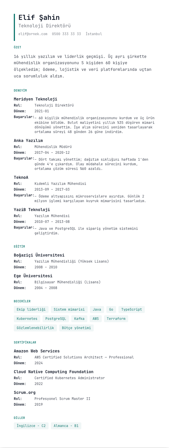Veri Sayfası CV şablonu - uzun kariyer geçmişi örneğiyle