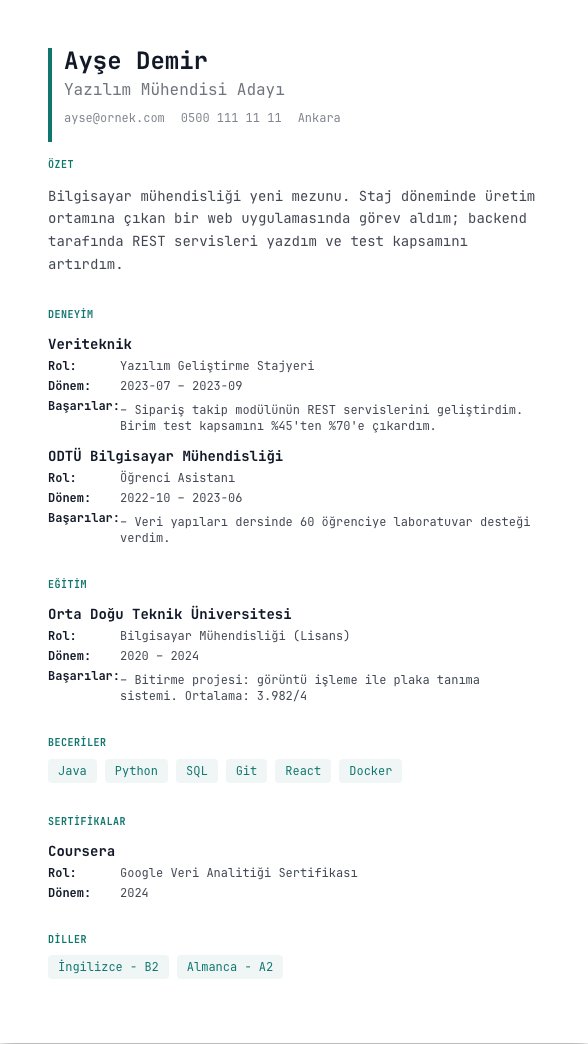 Veri Sayfası CV şablonu - yeni mezun CV'si örneğiyle