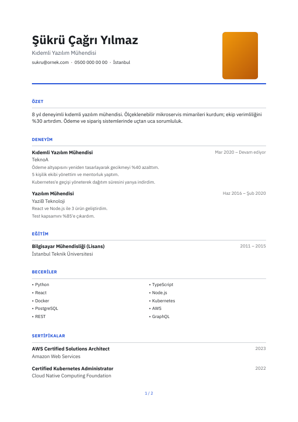 Vesika CV şablonu - alternatif vurgu rengiyle