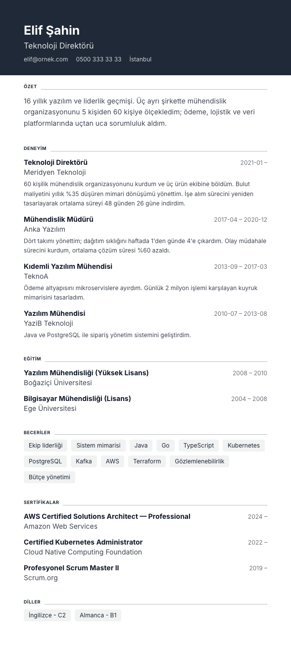 Vurgu Bandı CV şablonu - uzun kariyer geçmişi örneğiyle