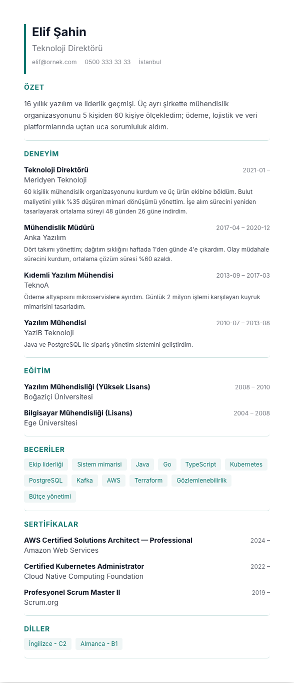 Yeni Mezun CV şablonu - uzun kariyer geçmişi örneğiyle