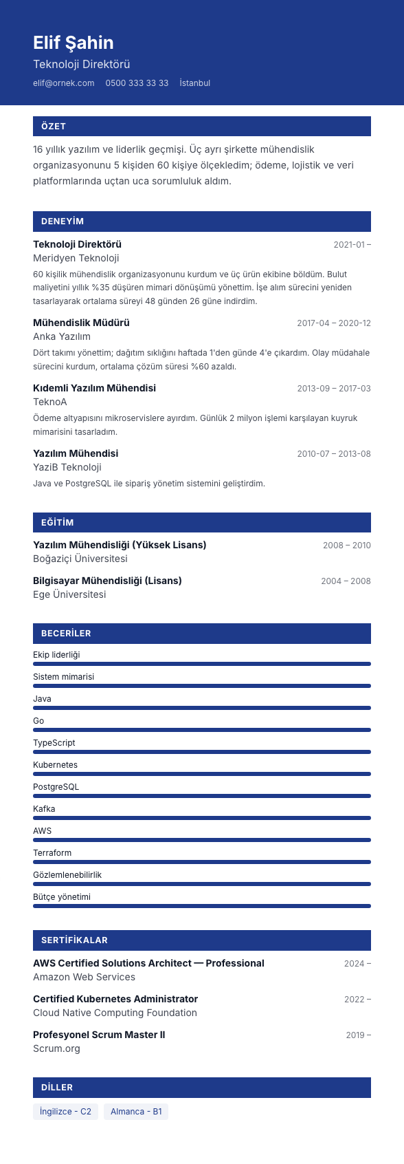 Yetkinlik Panosu CV şablonu - uzun kariyer geçmişi örneğiyle