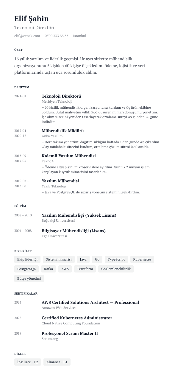 Yıl Defteri CV şablonu - uzun kariyer geçmişi örneğiyle