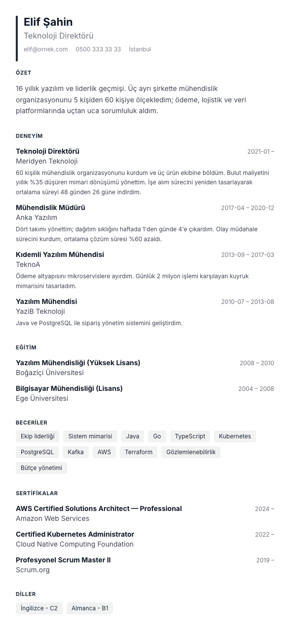 Yoğun Izgara CV şablonu - uzun kariyer geçmişi örneğiyle