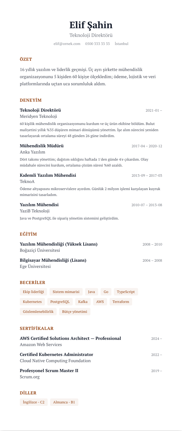 Yönetici Premium CV şablonu - uzun kariyer geçmişi örneğiyle